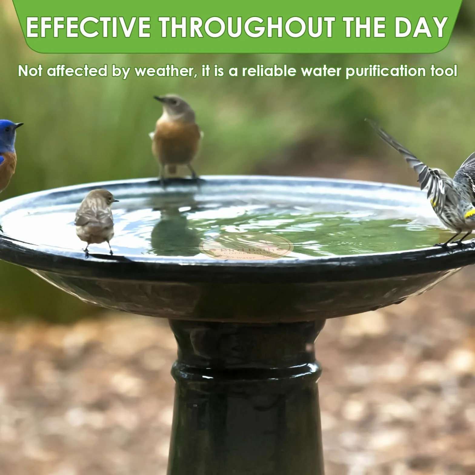 Abreuvoirs à oiseaux avec disque en cuivre 99,99% - Plaque en cuivre 0,8 mm - Lot de 2