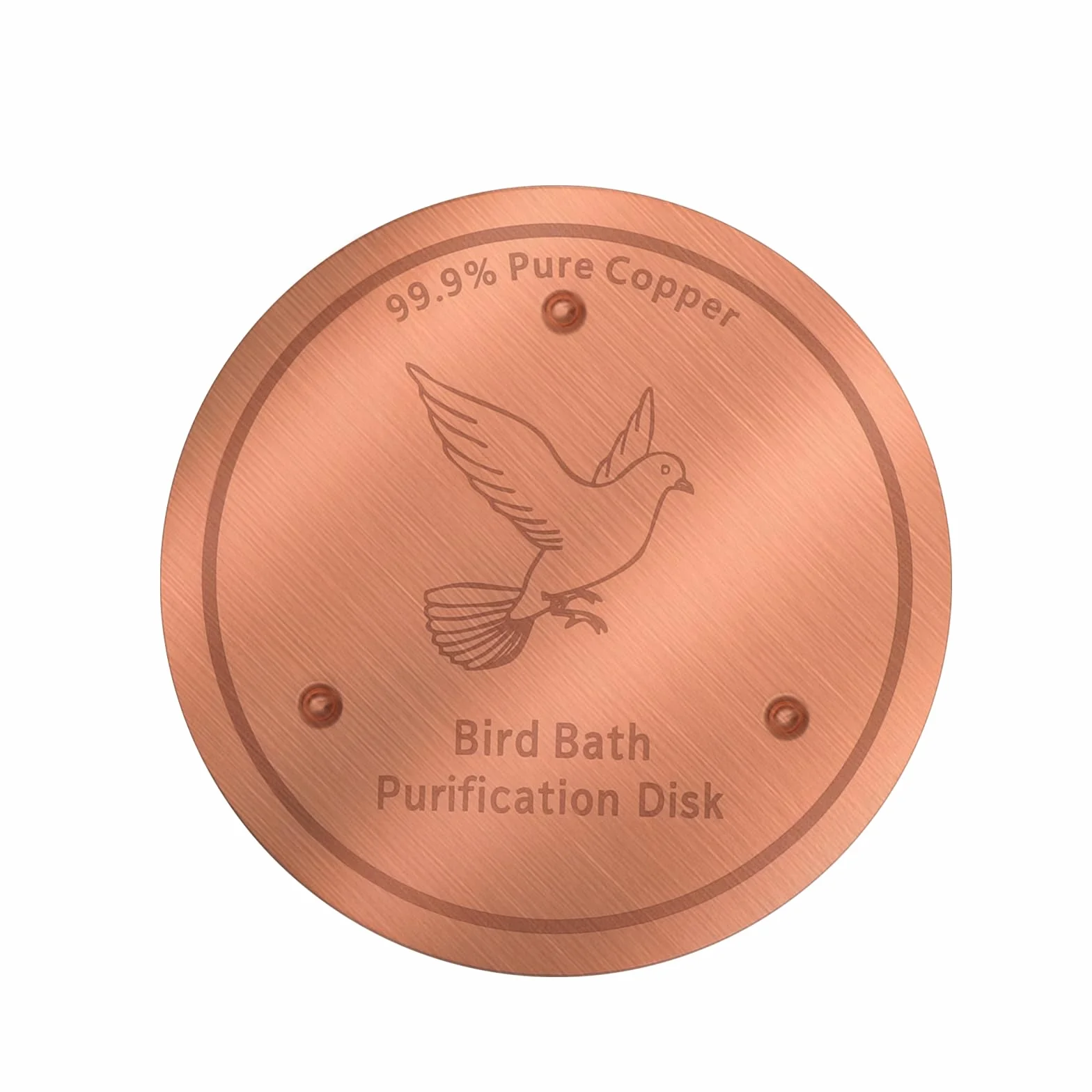 Plaque en Cuivre pour Bain d'oiseaux - Maintient la Qualité de l'eau Claire Pendant 14 Jours