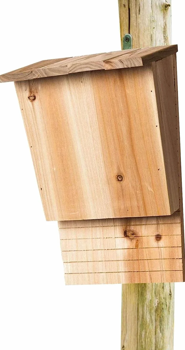 Nichoirs muraux en bois massif pour chauve-souris de jardin