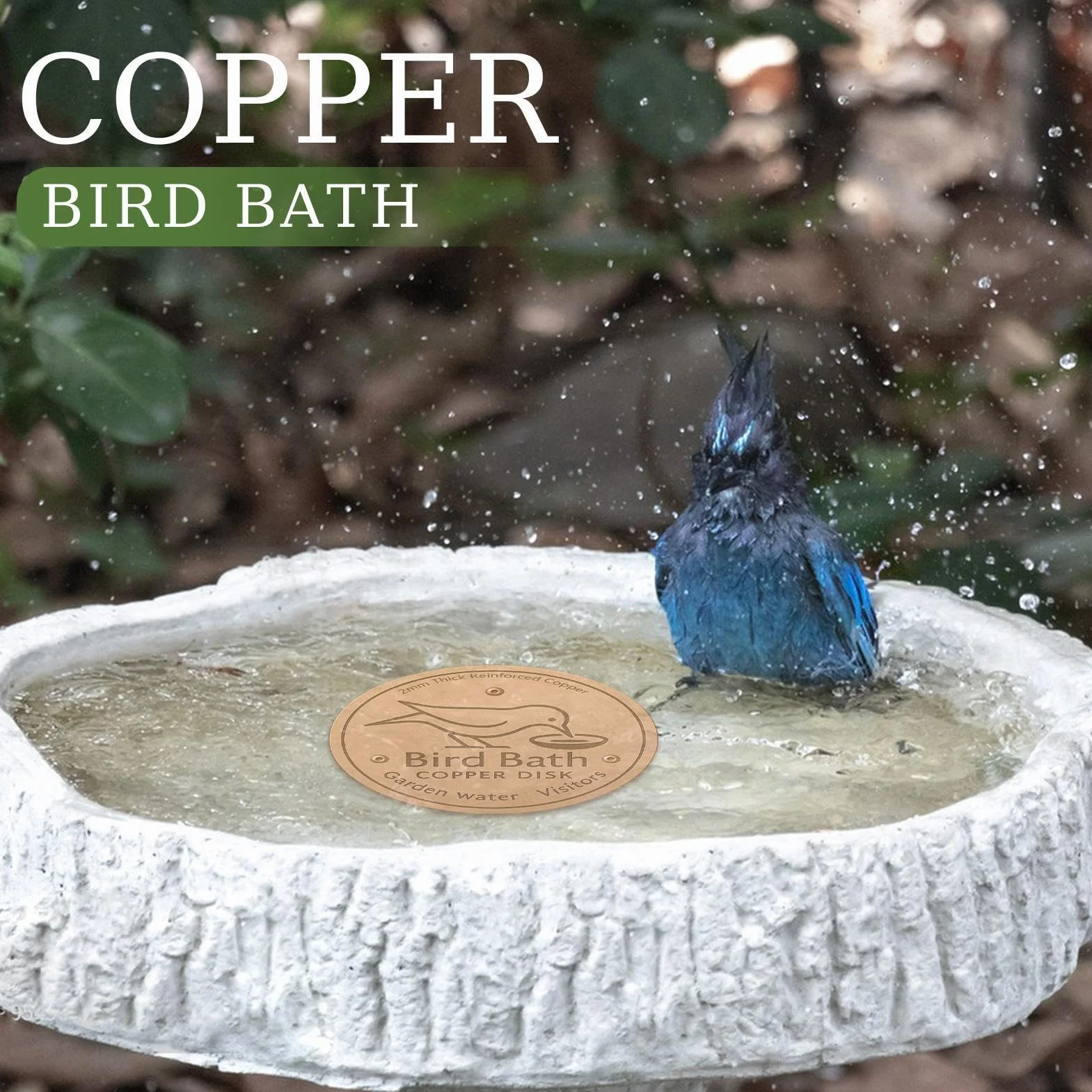 Disque en Cuivre pour Bain d'Oiseaux avec Support à Trois Points, Base Antidérapante