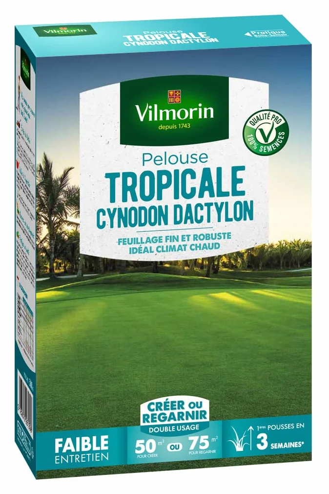 Pelouse Tropicale Kikuyu Cynodon Dactylon 500 g