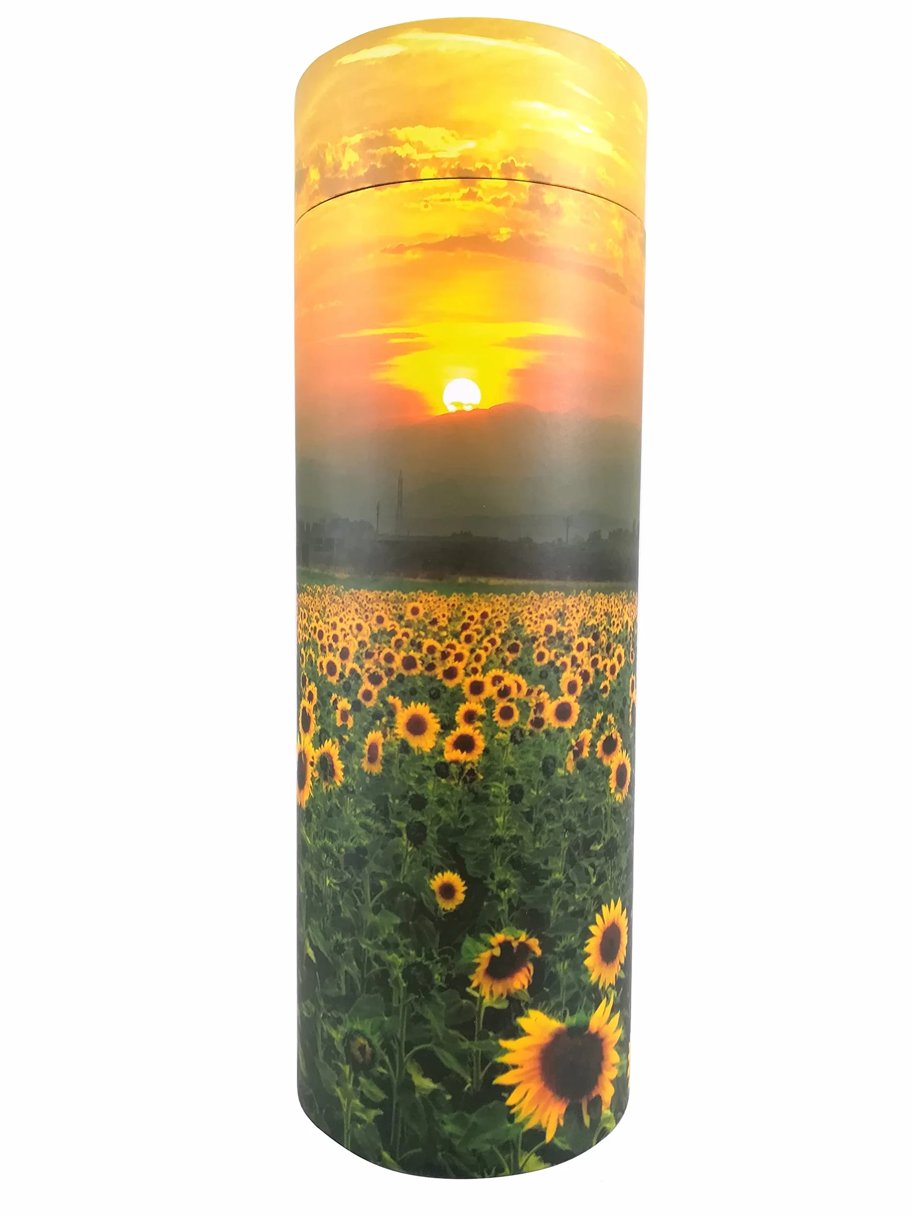 Urnes funéraires biodégradables en carton Tubes de dispersion de tournesol Moyen