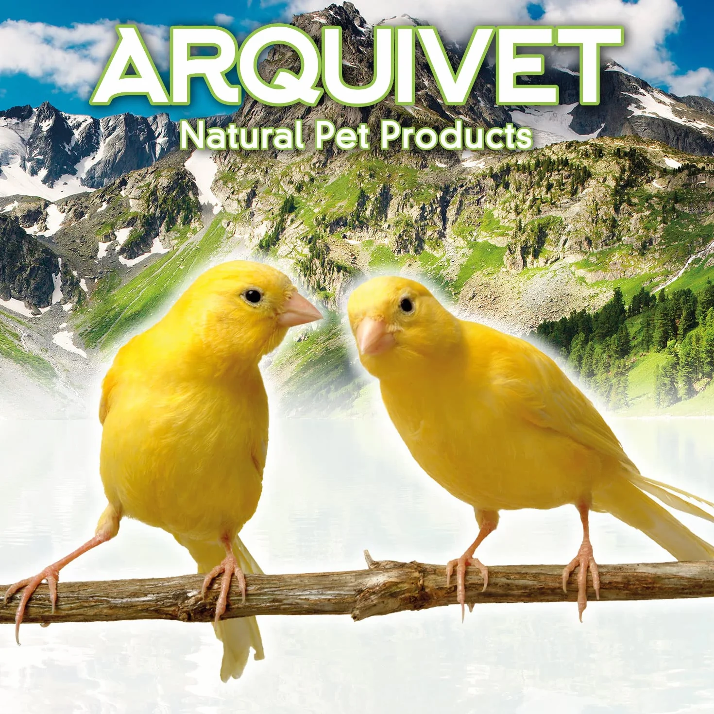 Arquivet Pâte Universelle pour Insectivores et Fruitiers - Nourriture pour Oiseaux 1 kg