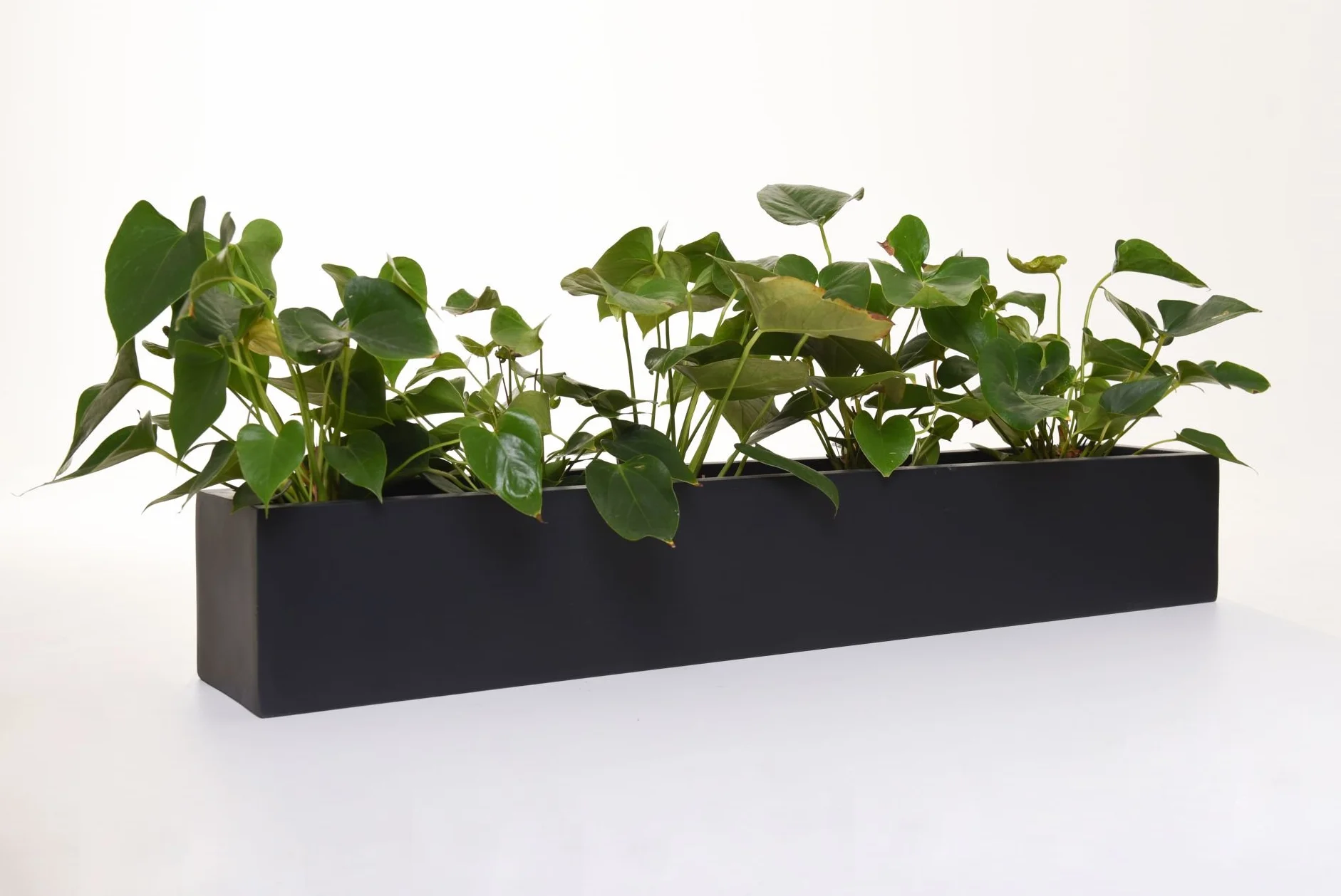 VIVANNO Jardinière Balcon Fibre de Verre FLOBO Anthracite 15x100x17 cm