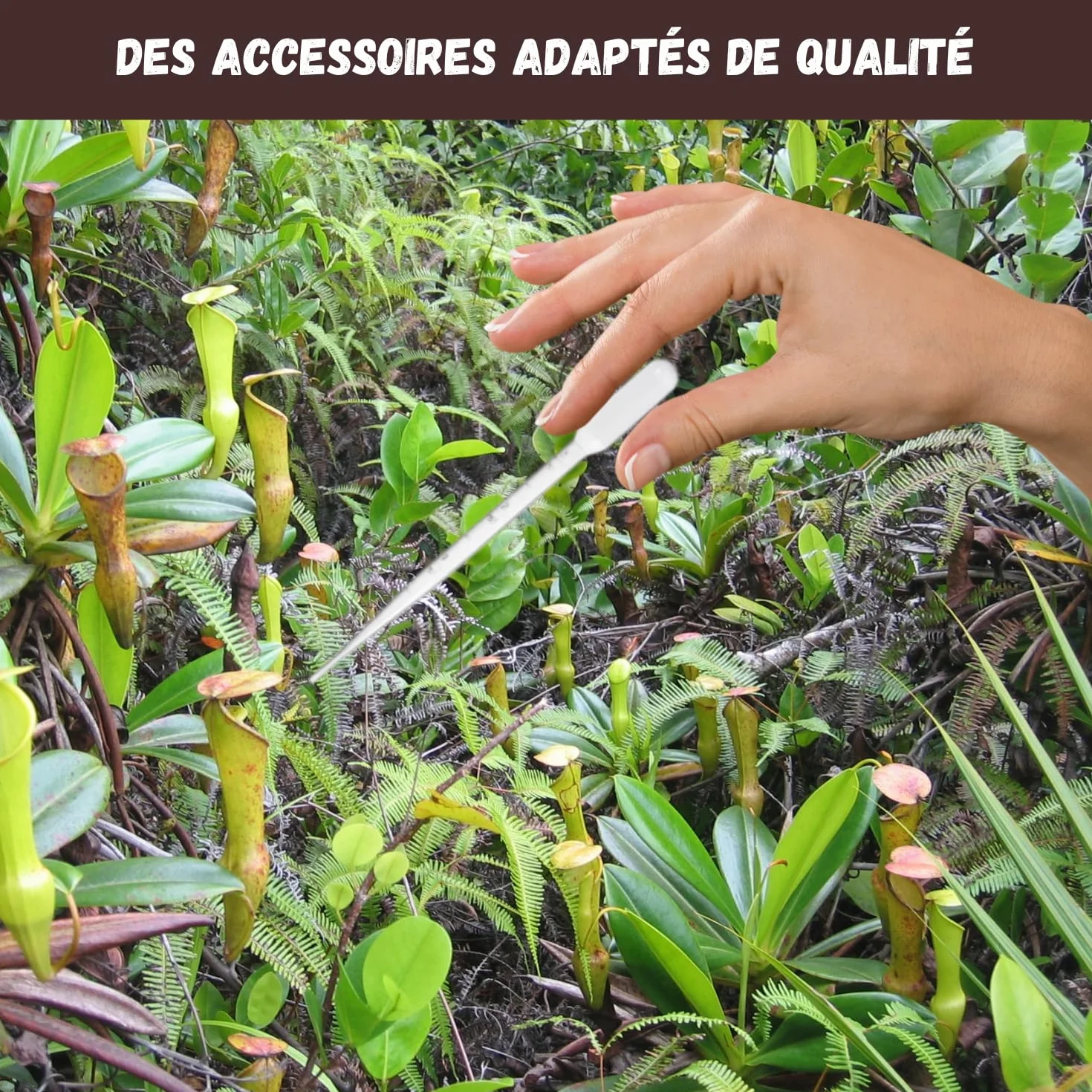NOPALIA Kit Plantes Carnivores Dionée Attrape-Mouche Complet avec Graines Pots Tourbe Accessoires DIY Jardin Intérieur