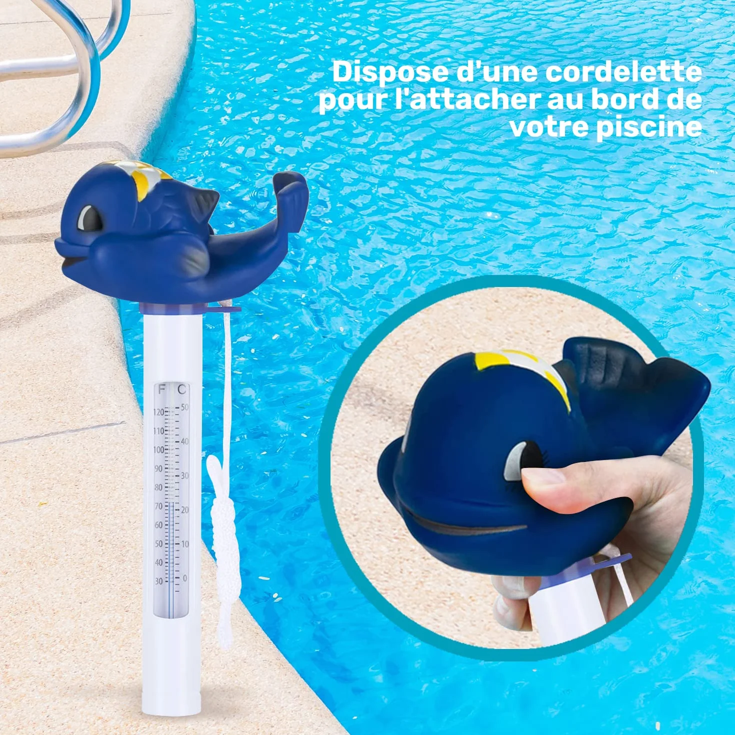 Thermomètre Piscine Flottante BALEINE Résistant Chocs Eau Intérieur Extérieur Spa