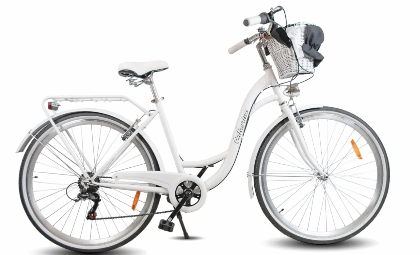 BDW Vélo de Ville 26" 7 Vitesses Cadre Acier Panier Osier Femme