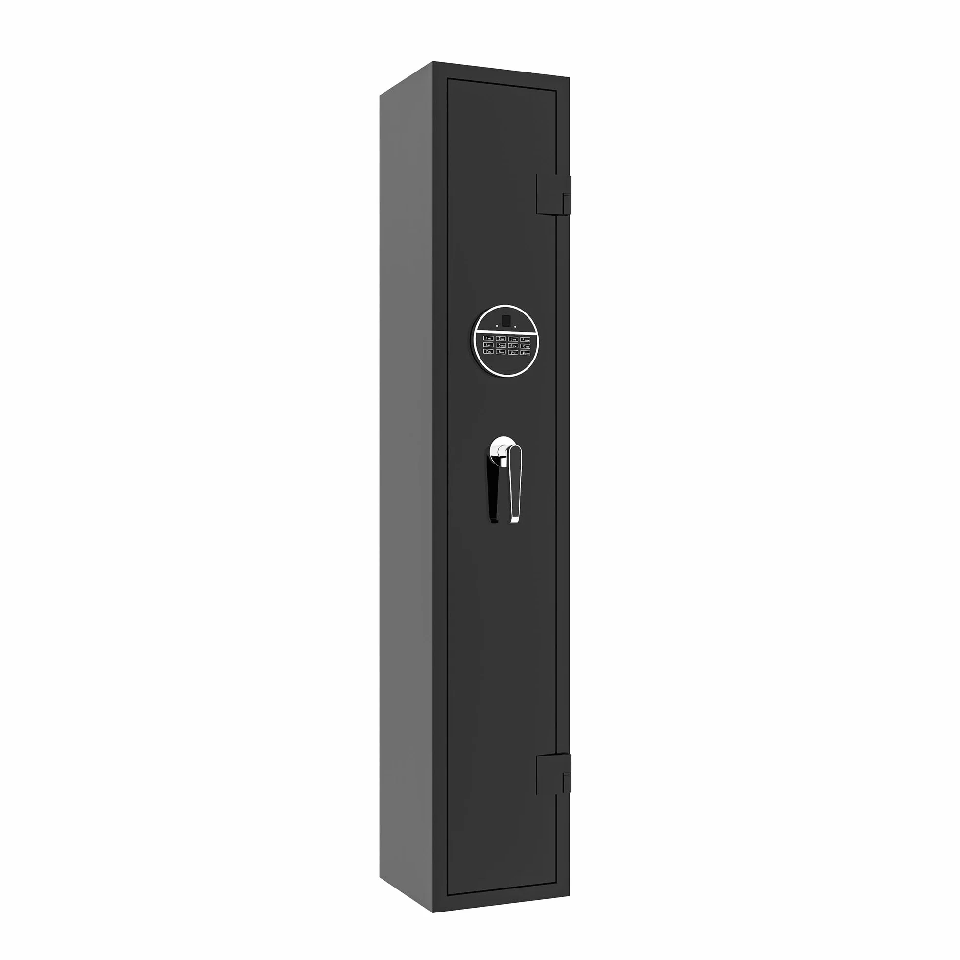 Armoire pour fusils et pistolets - Accès rapide - Convient pour le rangement sûr des armes longues et des tirs