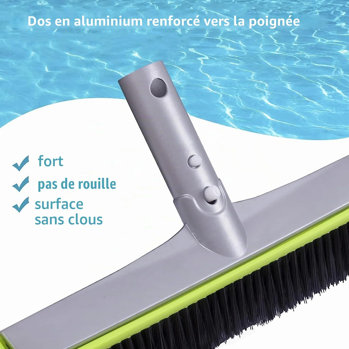 Brosse de piscine ronde robuste avec dos en aluminium renforcé et poils solides