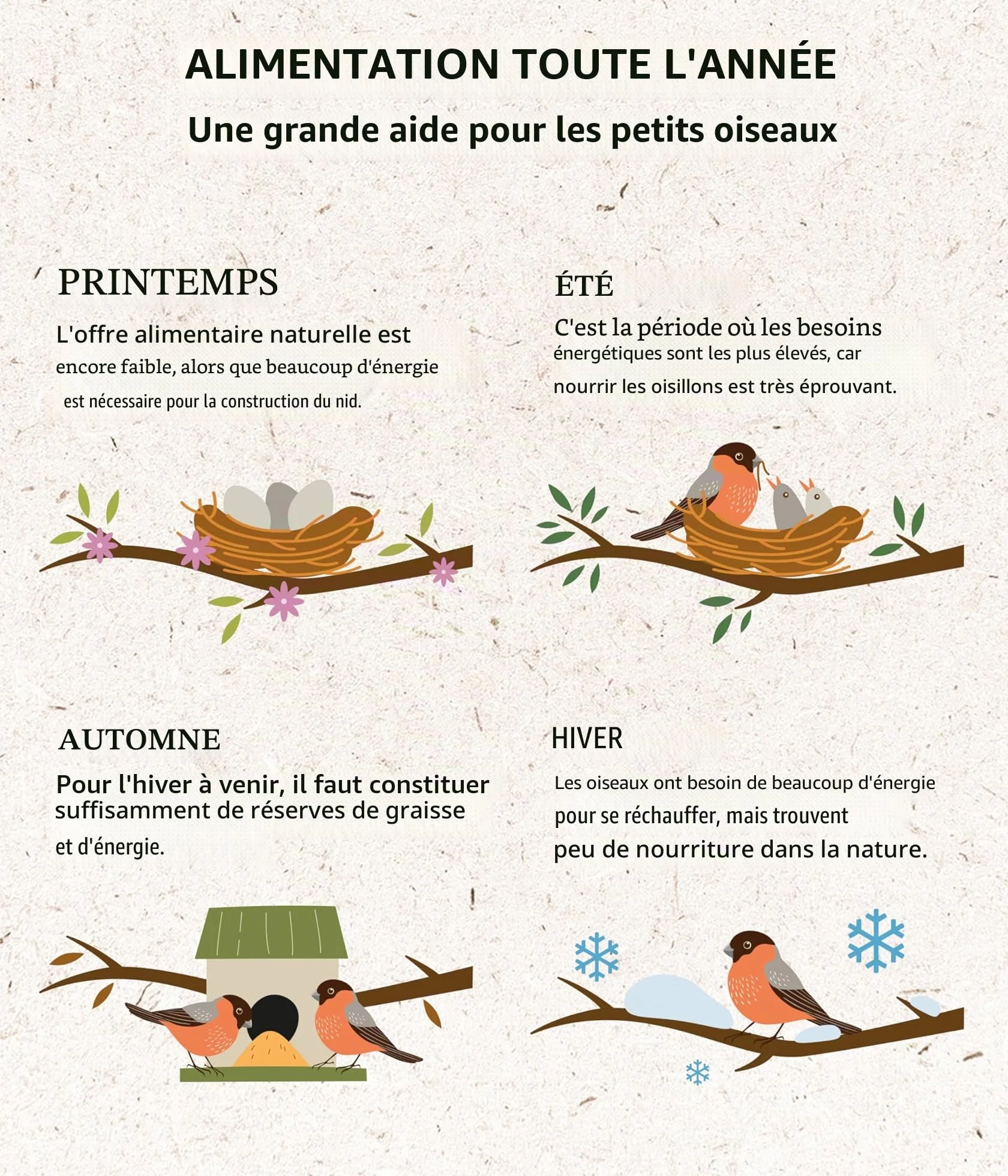Dehner Natura Premium Nourriture pour Oiseaux Sauvages, mélange de graines sans coquilles, 3,6 kg