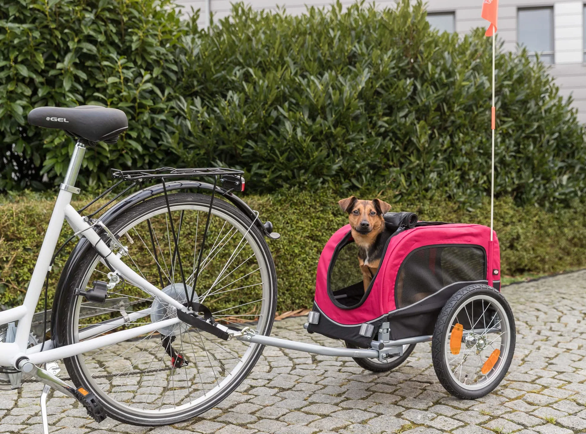 TRIXIE Pet Bike Trailer, Dog Bicycle Trailer, Foldable, Easy to Assemble