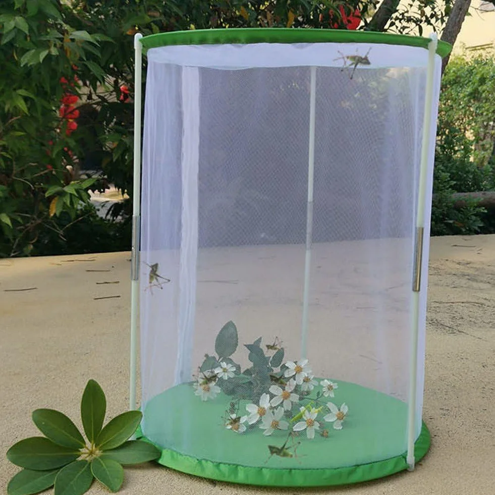 Papillon Habitat Jardin Kit Grande Cage Pliable Insecte Filet Maison 30 x 40 cm