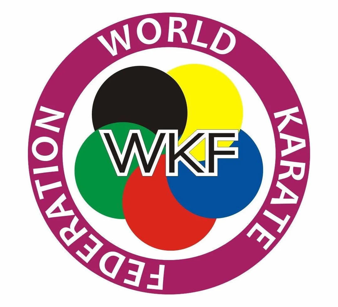 BUDOFIGHT Ceinture de karaté Noire WKF Élite