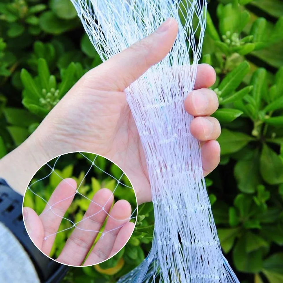 GWHOLE Filets de Jardin Anti-Oiseaux 8M x 3M Maille 2,5cm Filet de Protection