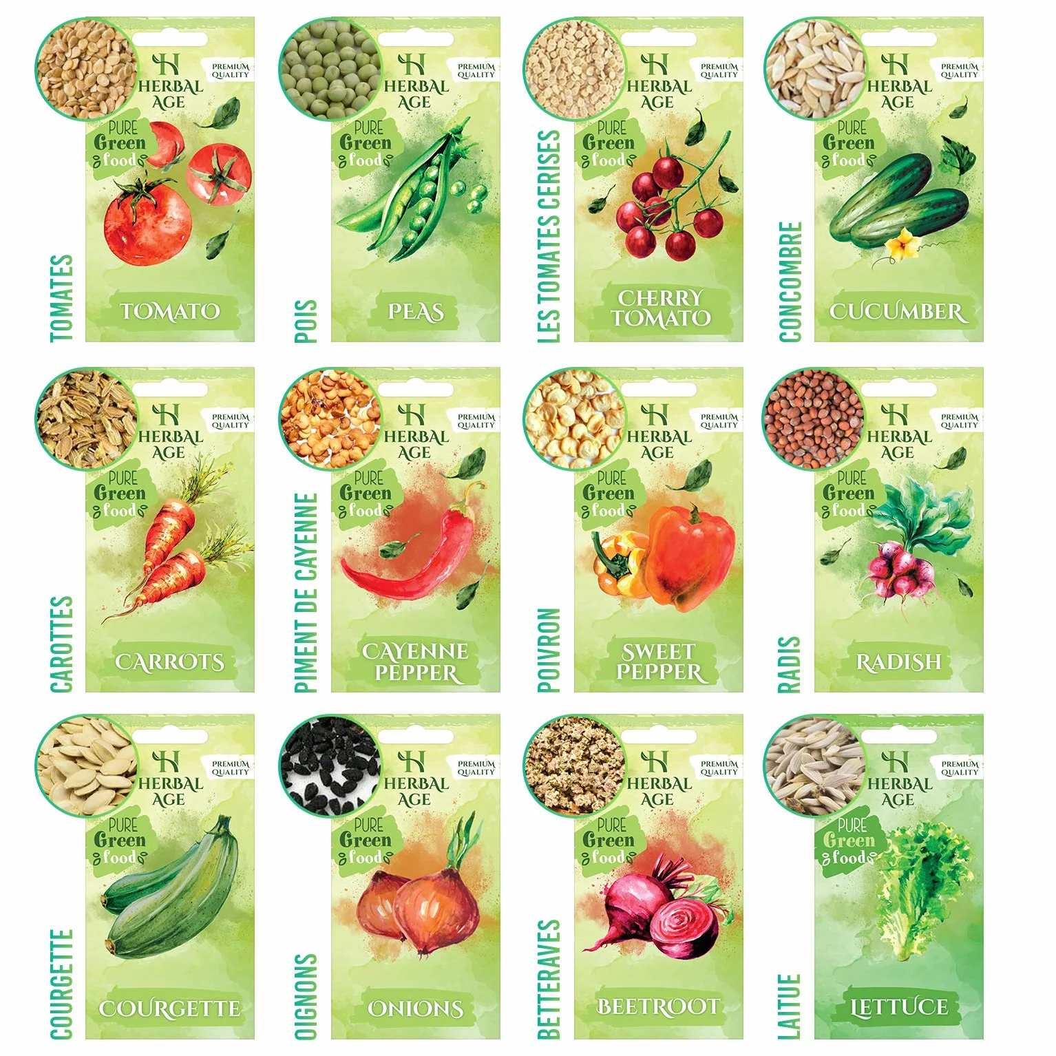 Kit De Plantation De Légumes 12 Variétés 5100 Graines Potager Cadeau Jardinage