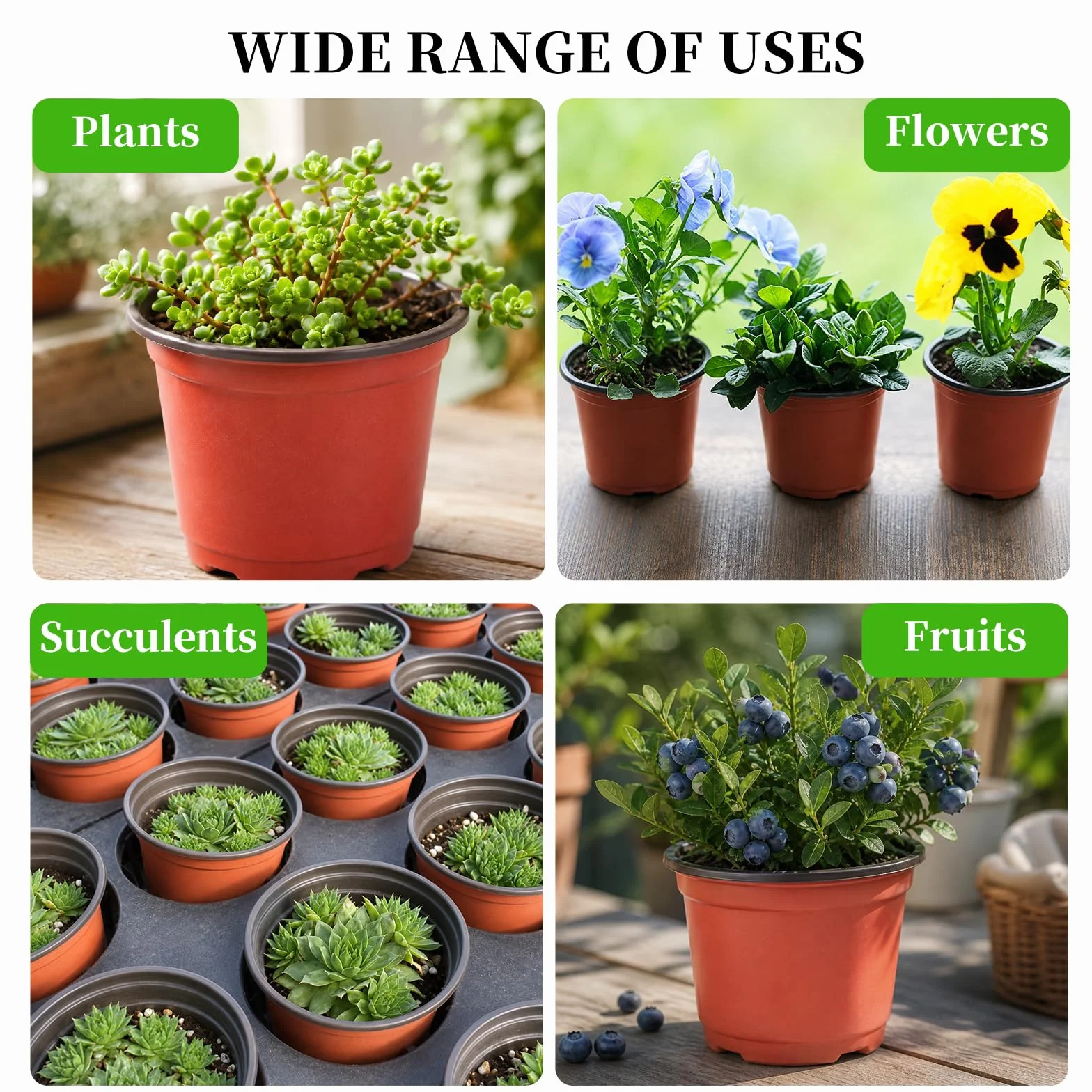 Pots de Plantes en Plastique 100 Pcs avec Étiquettes Réutilisables pour Fleurs Légumes Jardin