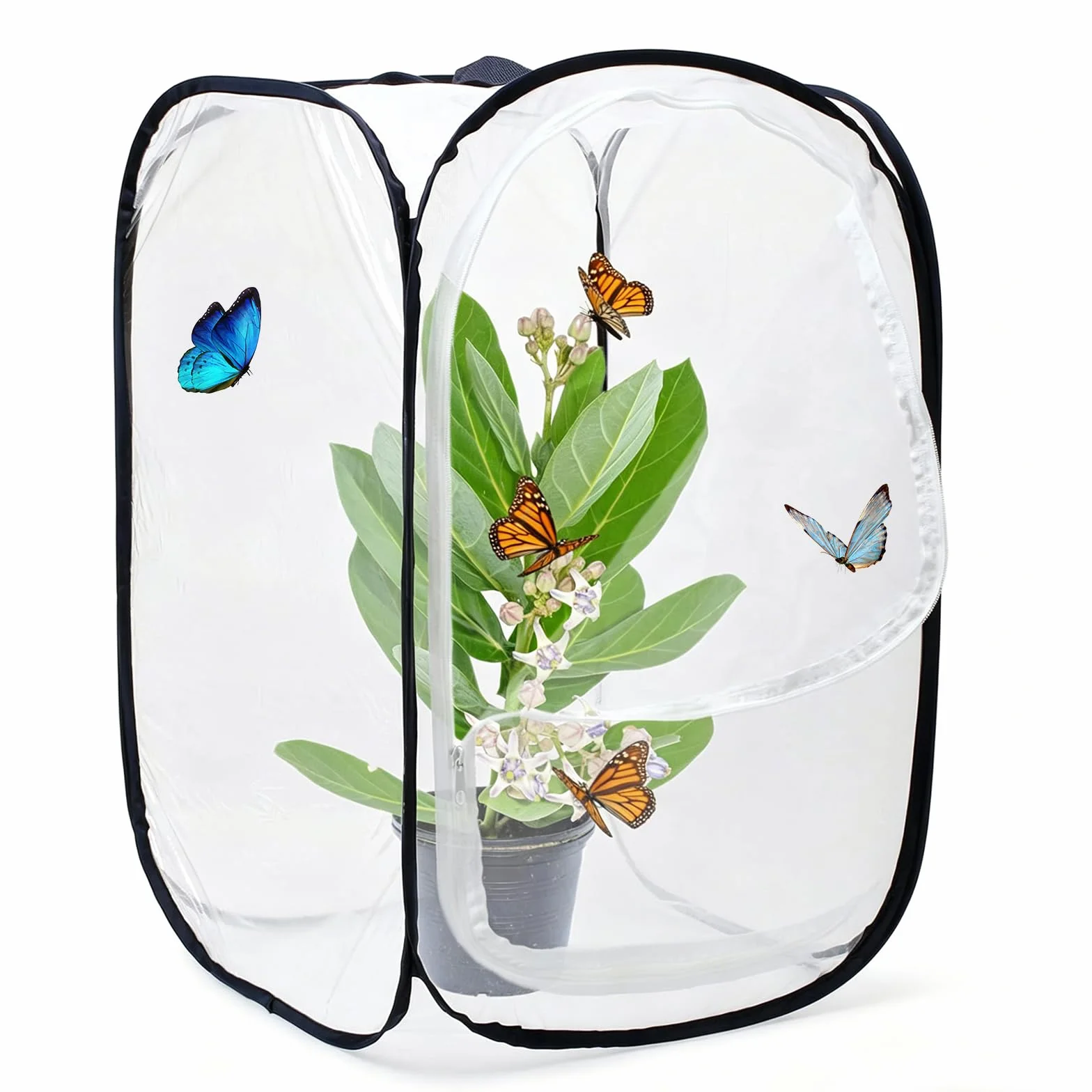 Cage d'habitat pour Insectes et Papillons, Pliable, Portable, 40x40x60cm, Blanc-Noir