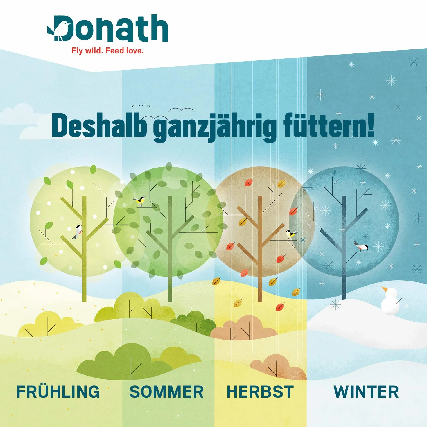 Donath Boules d'Energie Classiques sans Net 50 Unités