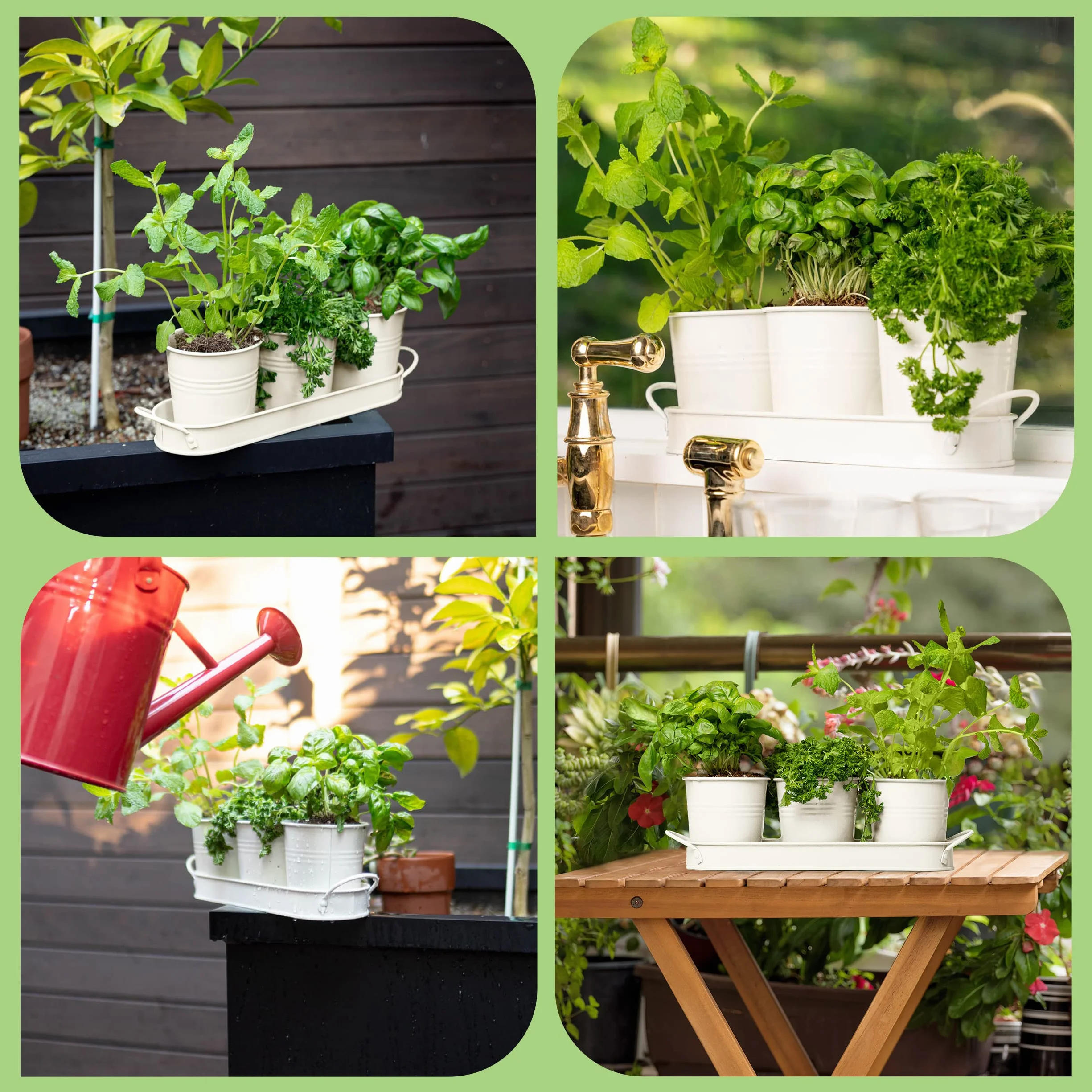 Pots Herbes Plantes d'Intérieur Plateau Kit Plantes Aromatiques Intérieur pour Basilic, Menthe, Persil