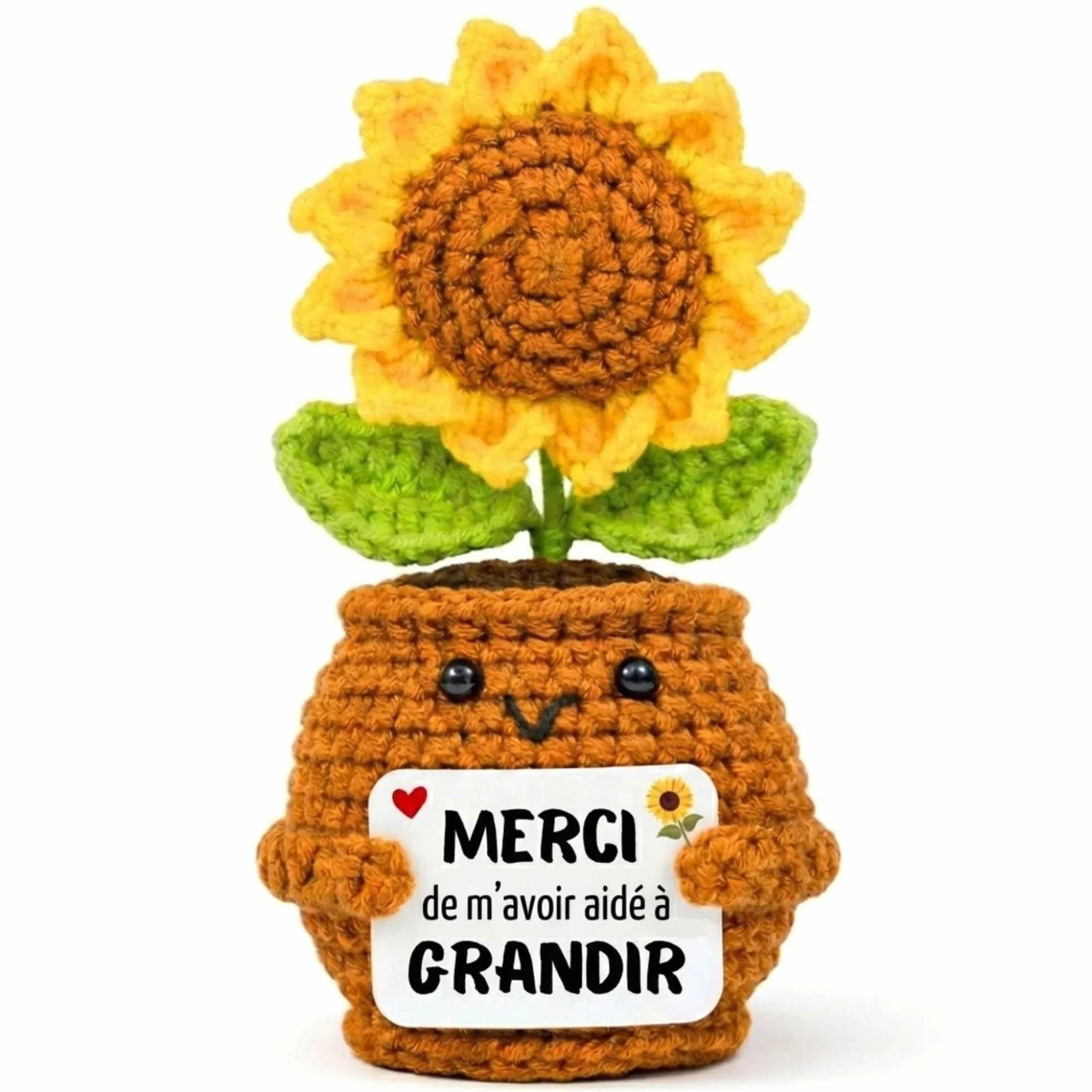 Cadeau Maitresse d’École Tournesol Crochet Merci de m’Avoir aidé à Grandir Fin d’Année Professeur Idée Cadeau Originale Remercier Enseignante