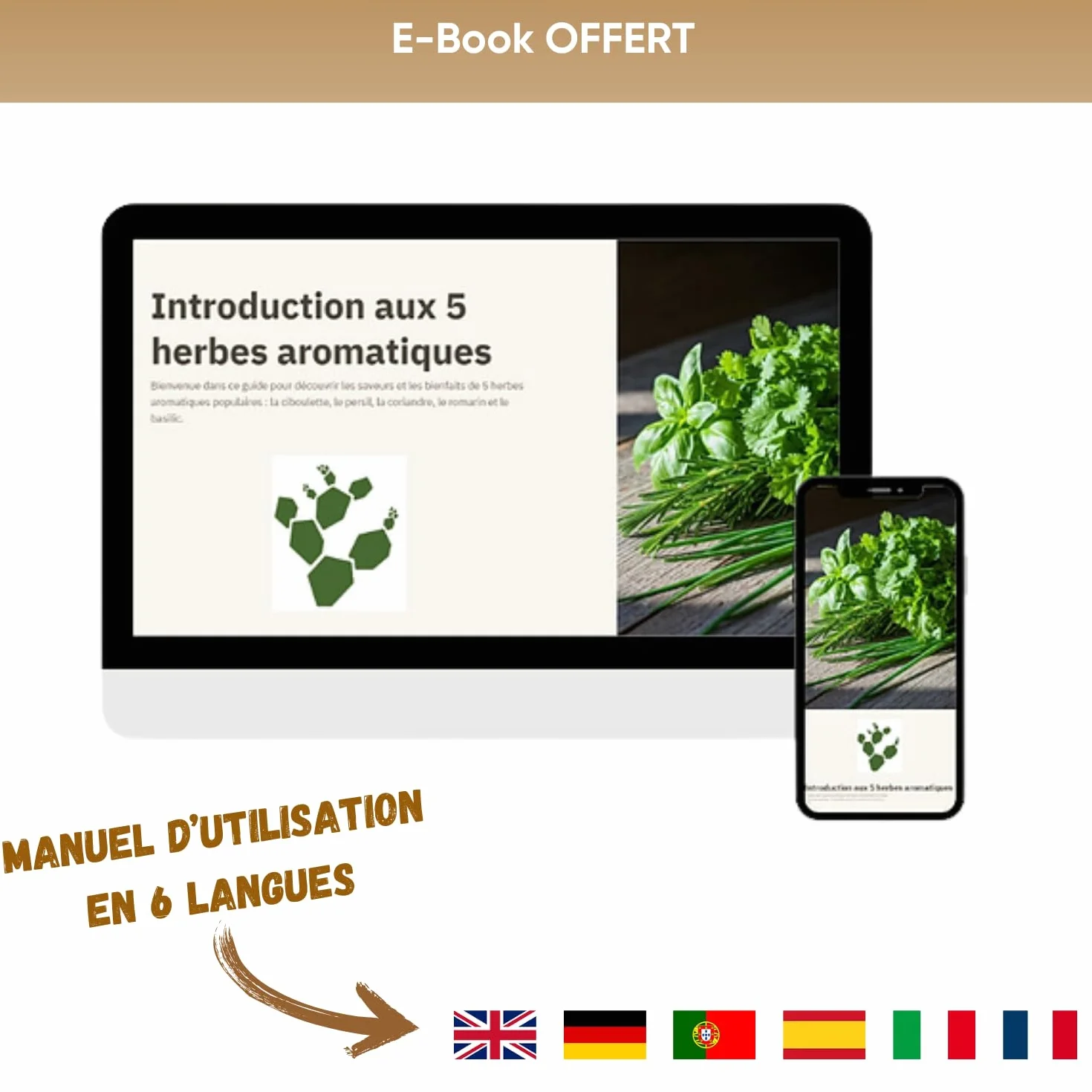 NOPALIA® Kit Herbes Aromatiques Bio Prêt à Pousser 5 Variétés Pots Biodégradables Cadeau Cuisine