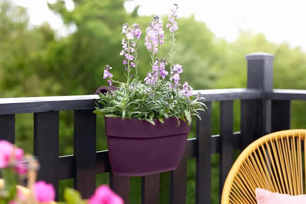 Elho Vibia Campana Easy Hanger M 36 Planteur Balcon Extérieur Ø 36 x H 26.5 cm Violet Mauve Érable