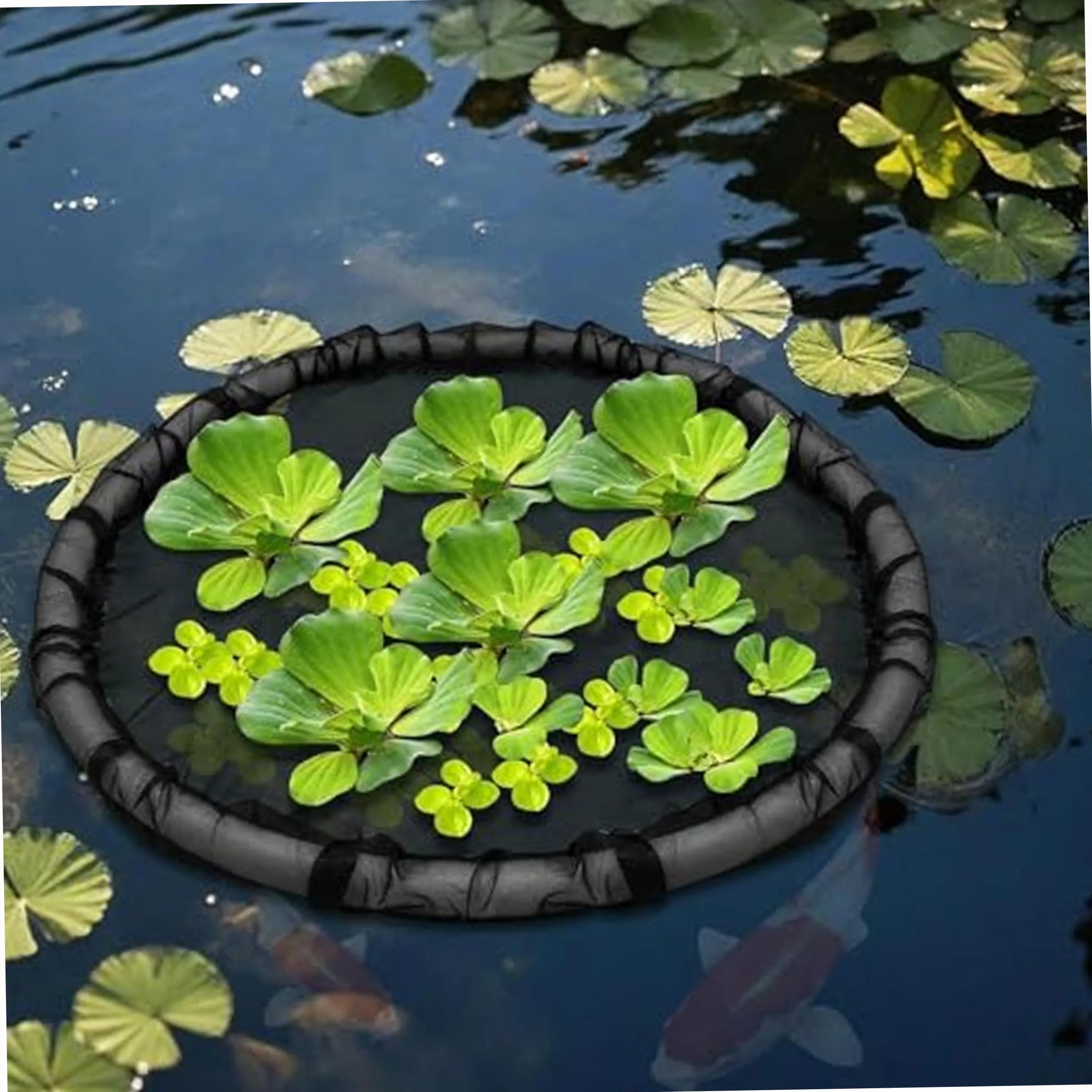 Barrière Flottante pour Plantes Aquatiques 2 pièces 17,7 Pouces Île Florale Ronde