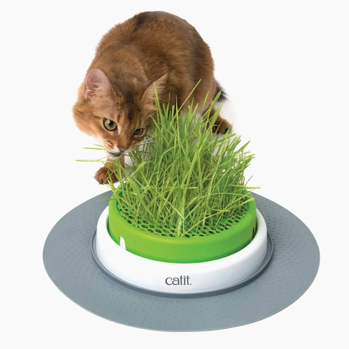 Catit Kit Herbe à Chat 3 Pièces