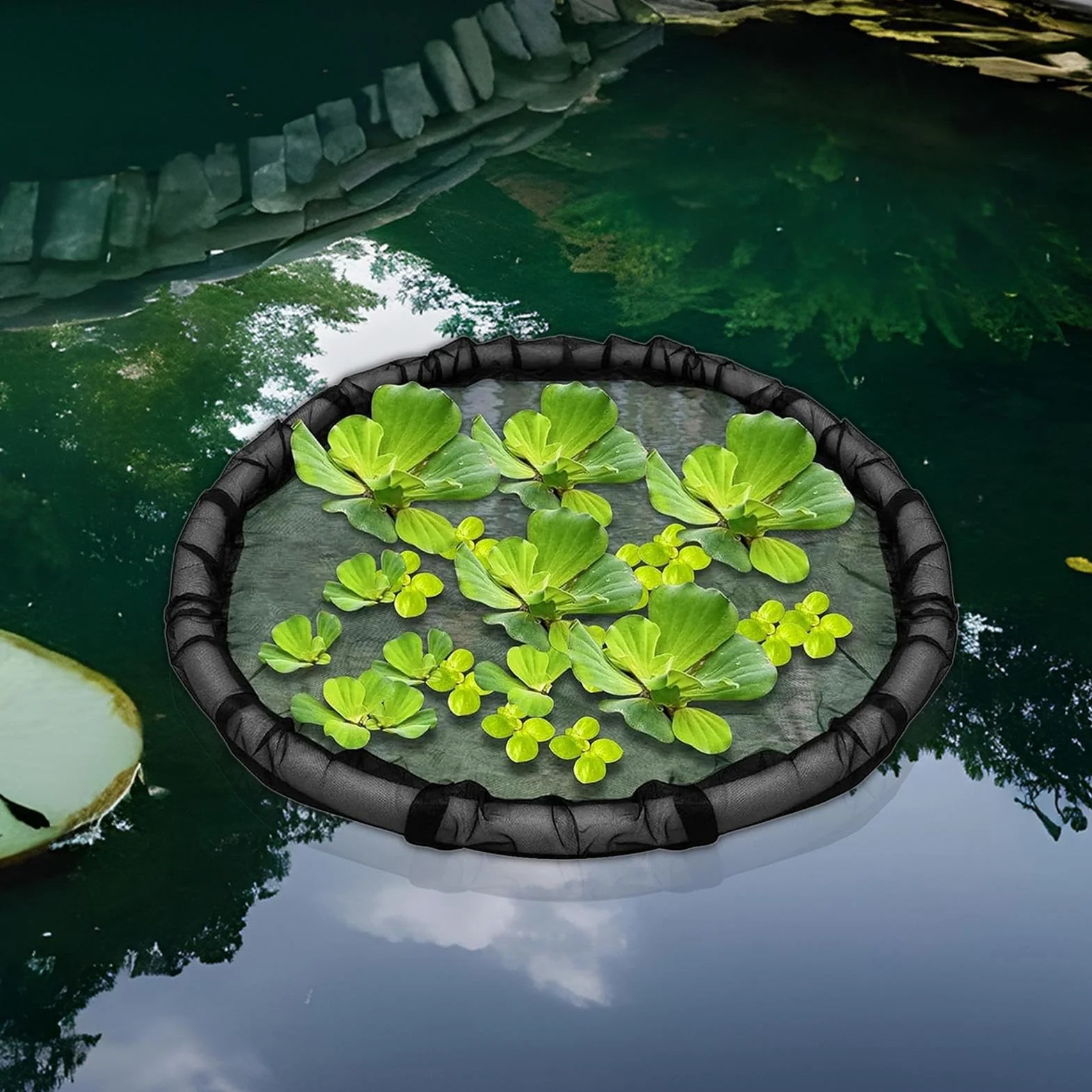 Pots de Fleurs flottants pour étang de Jardin, île Flottante, récipient en Maille Fine