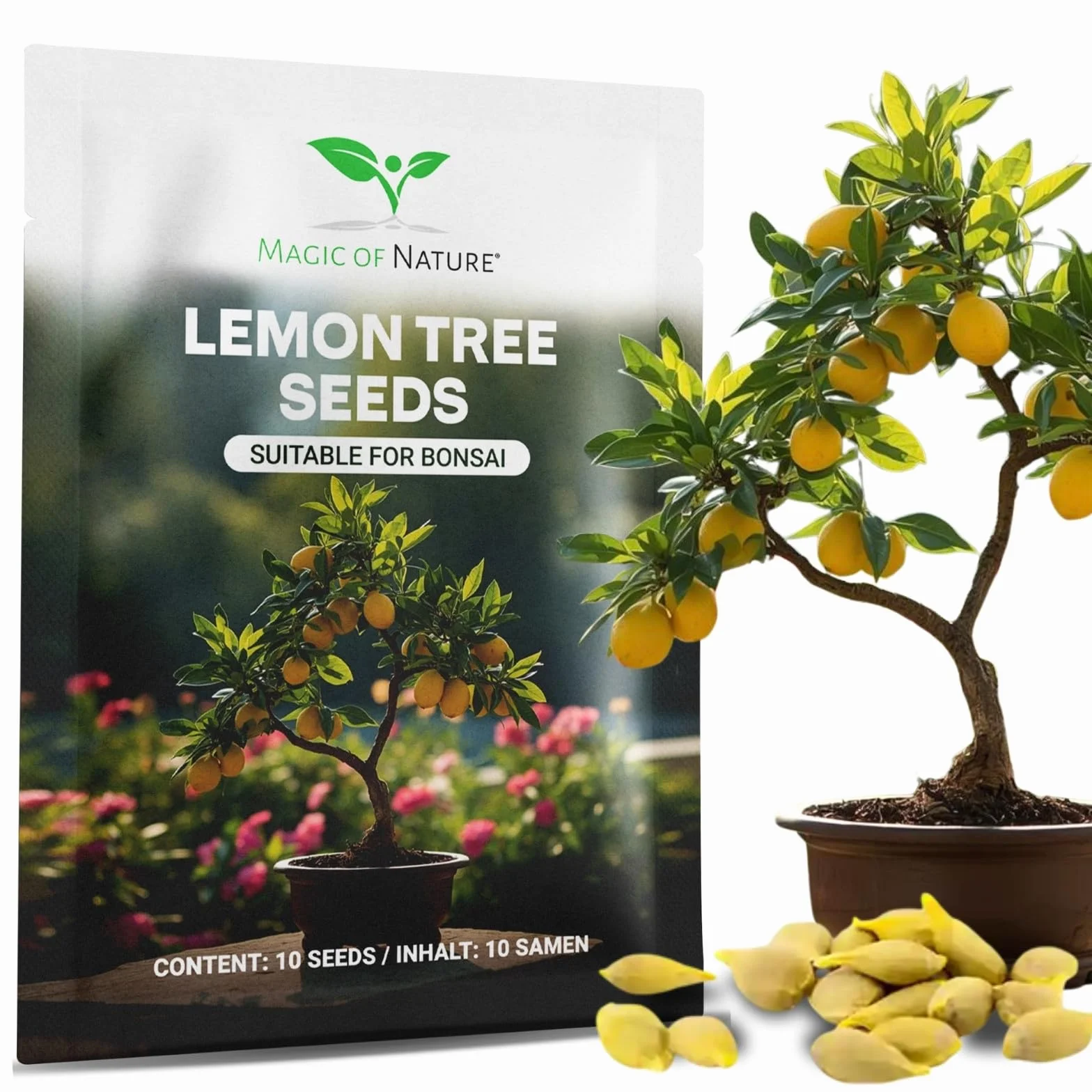 Graines de Citronnier Mini 10 Pcs Bonsaï Semences Plante d'intérieur Vivace