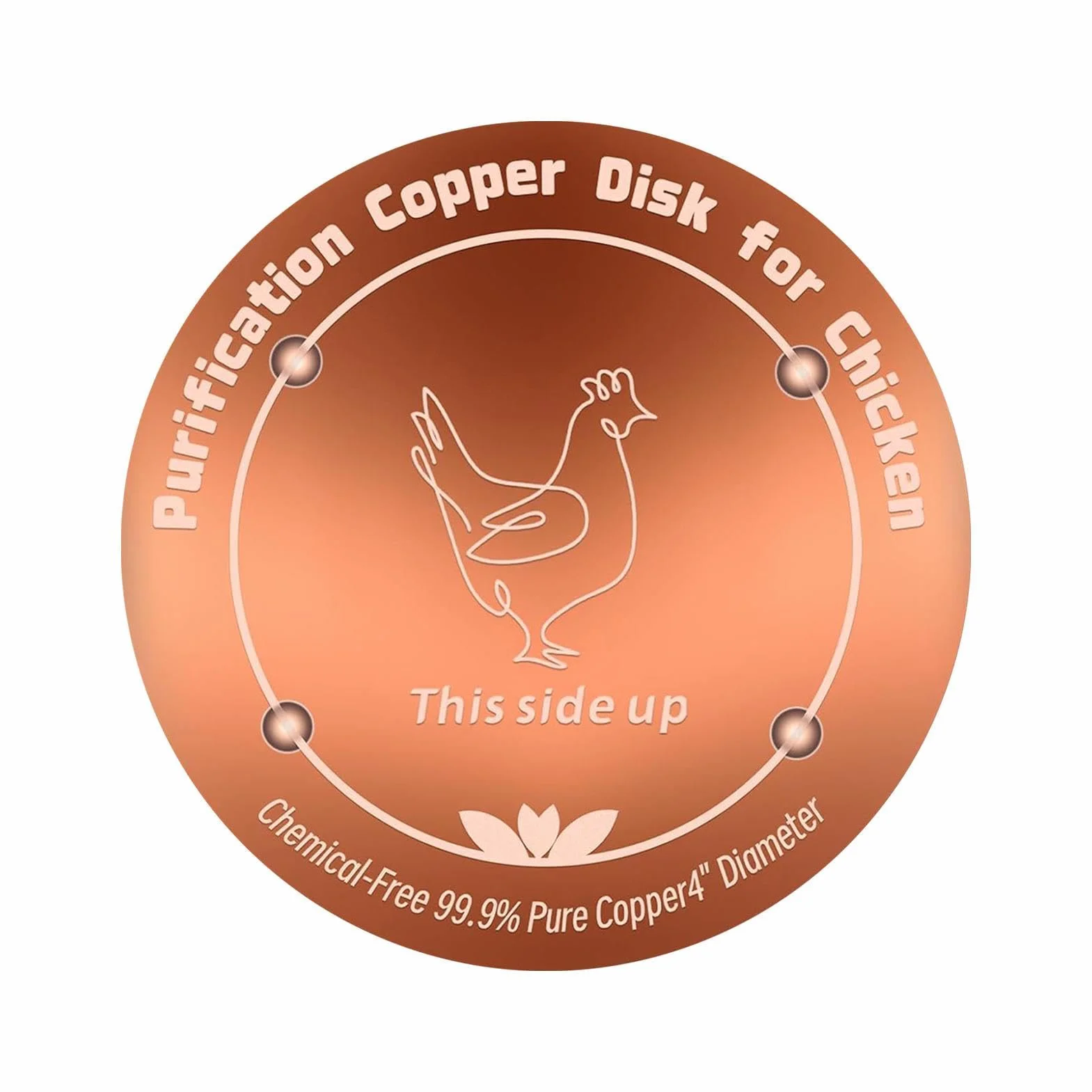 Bain d'oiseaux en cuivre 99,99 % cuivre 10,2 cm diamètre 0,6 mm épaisseur autonettoyant
