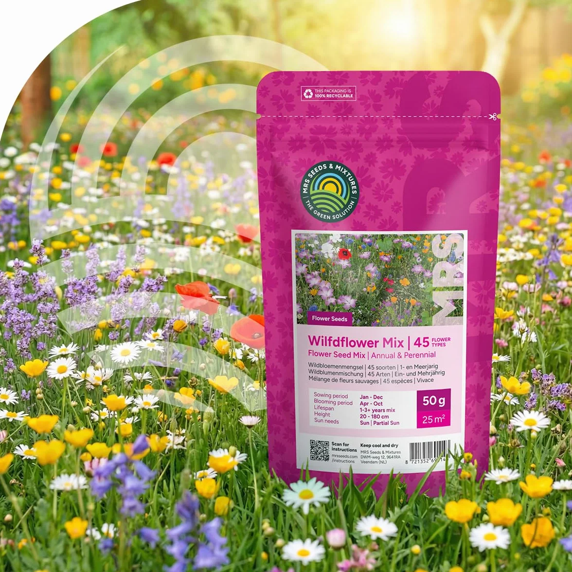 Mélange de fleurs sauvages annuelles et vivaces 250 g 125 m² 62 variétés multicolores nectar abeilles papillons