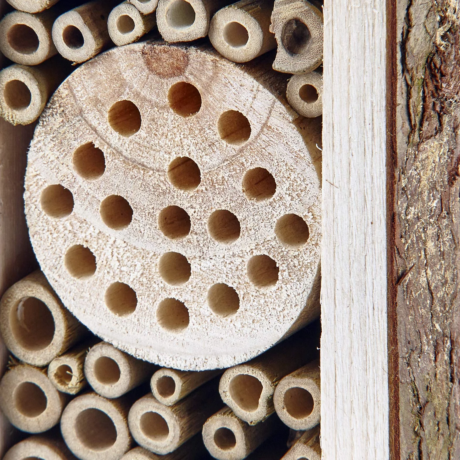 Hôtel à insectes en bois écologique pour abeille papillon 16,5 cm