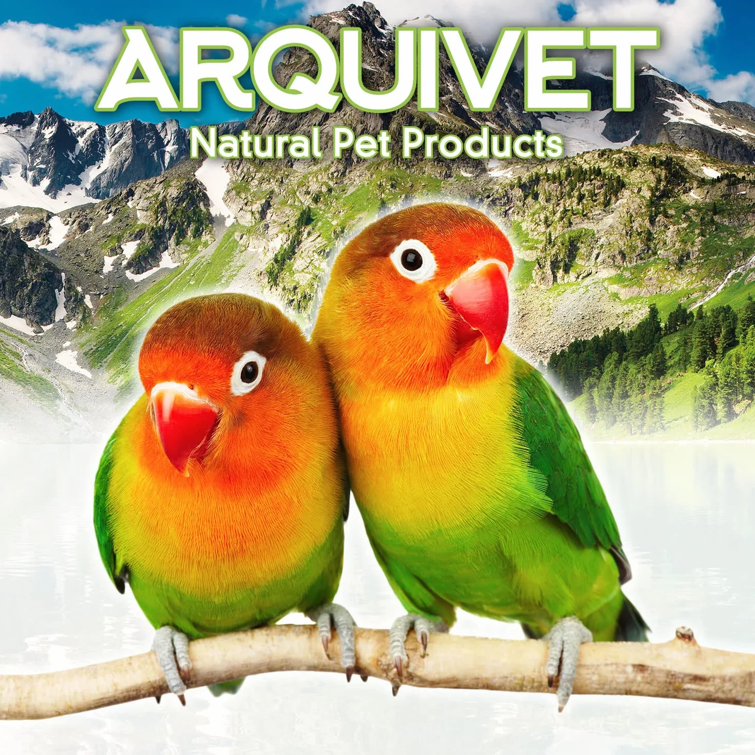 Arquivet Pâte Universelle pour Insectivores et Fruitiers - Nourriture pour Oiseaux 1 kg