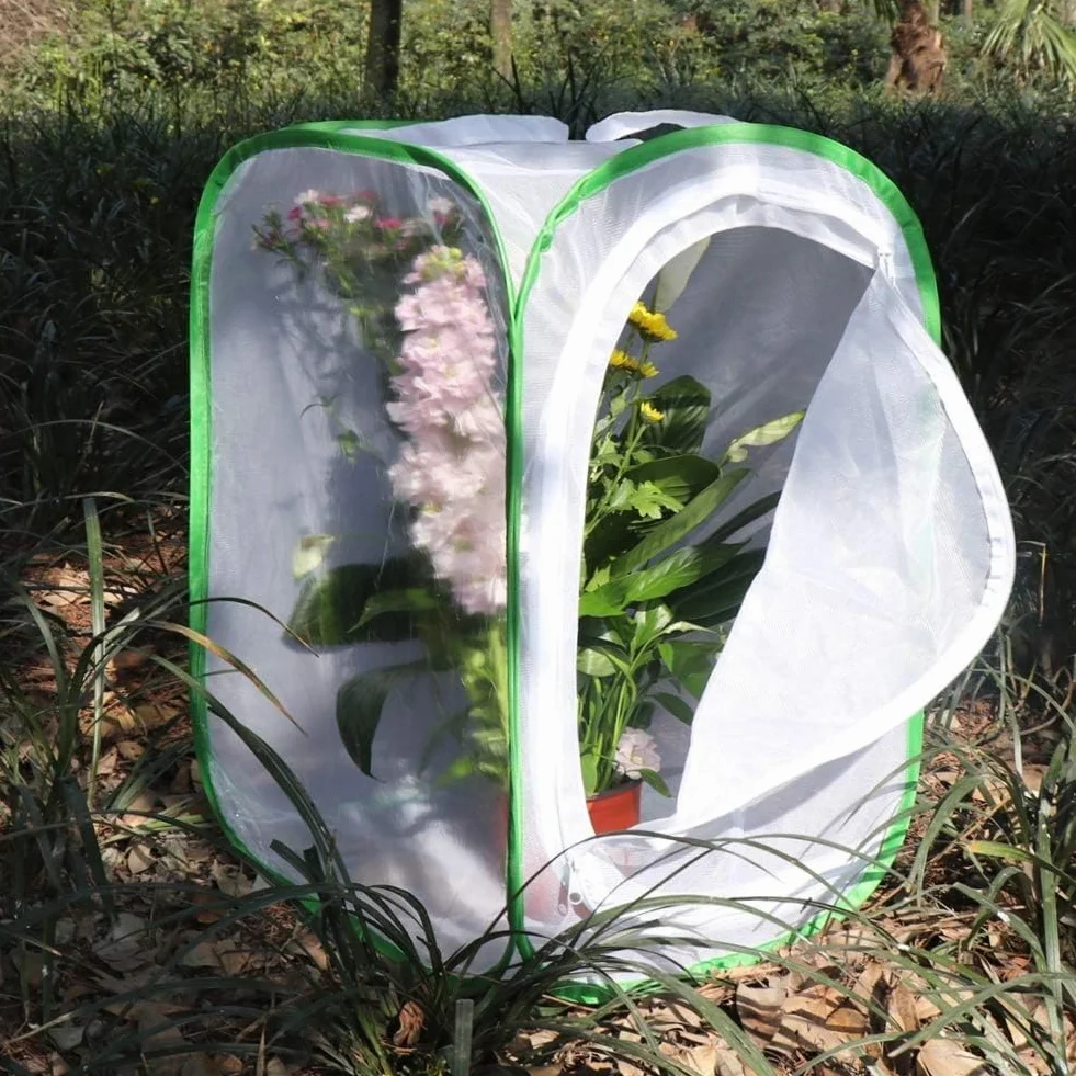 Lot de 2 cages d'habitat pour insectes et papillons - 40 x 60 cm