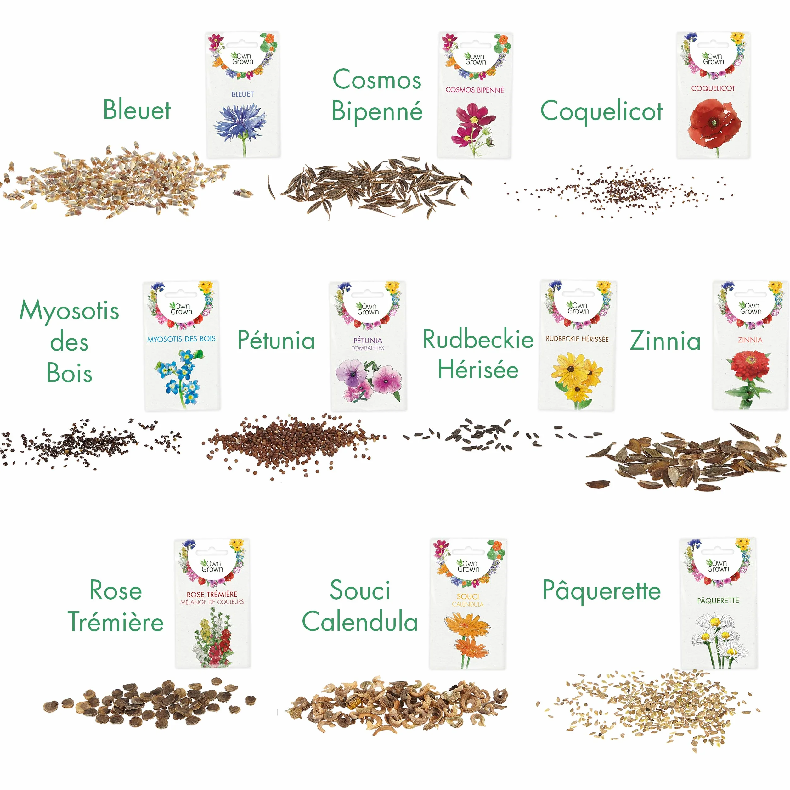 OwnGrown 10 variétés de semences de fleurs comestibles - Kit prêt-à-pousser pour jardin et balcon