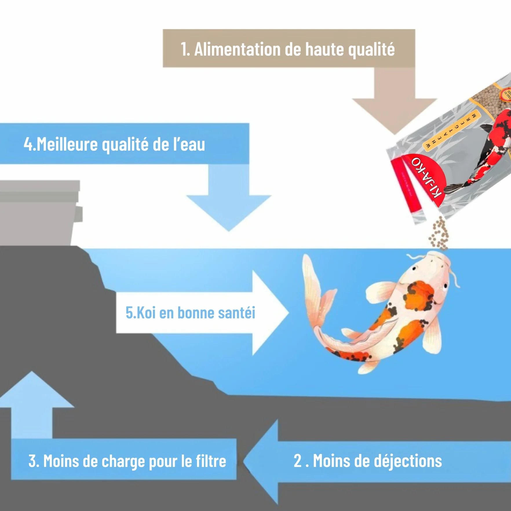 Nourriture pour carpes koï 3 kg 6 mm germes de blé Printemps Automne