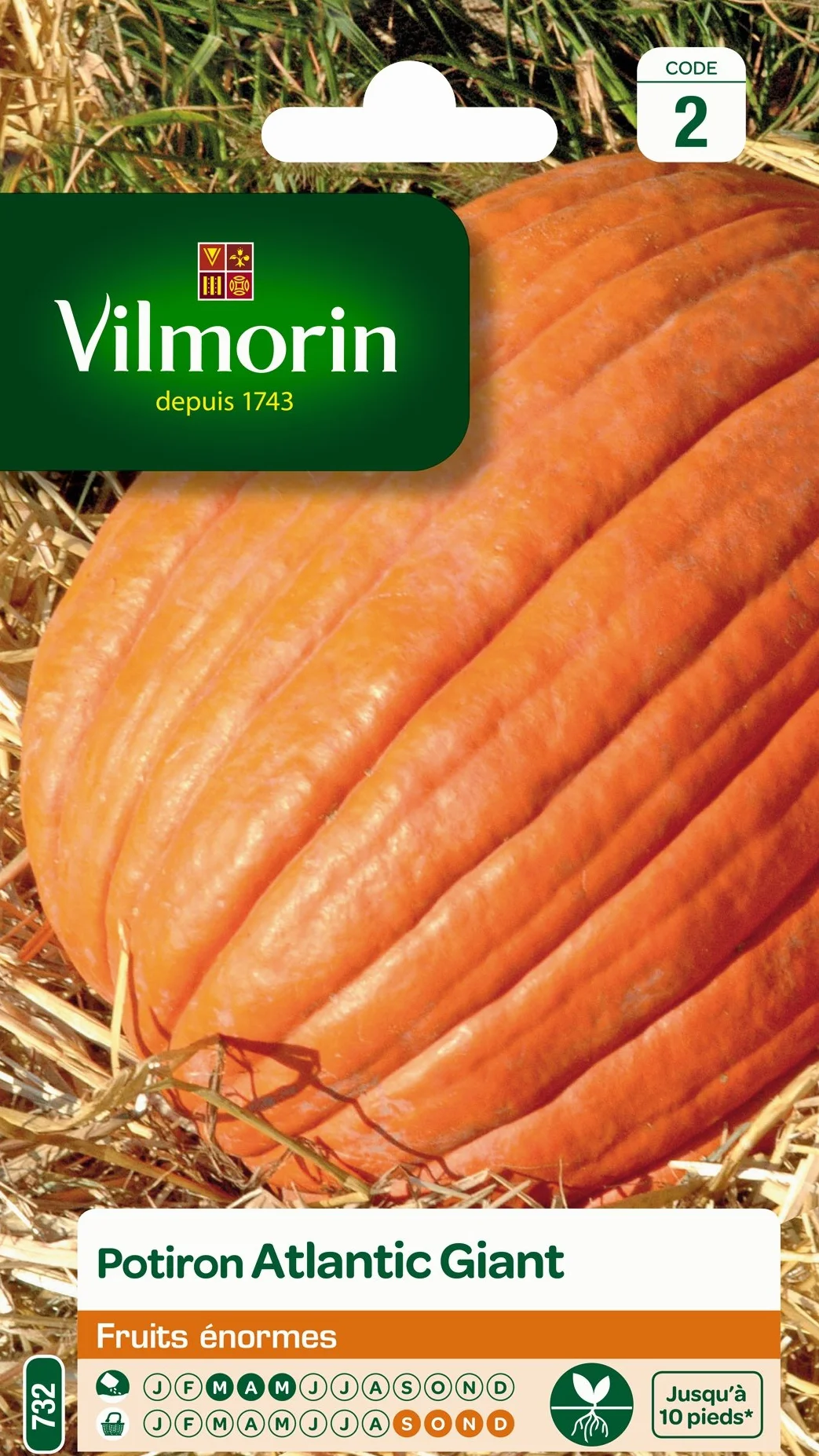 Vilmorin Pack de Graines Potiron Atlantic Giant
