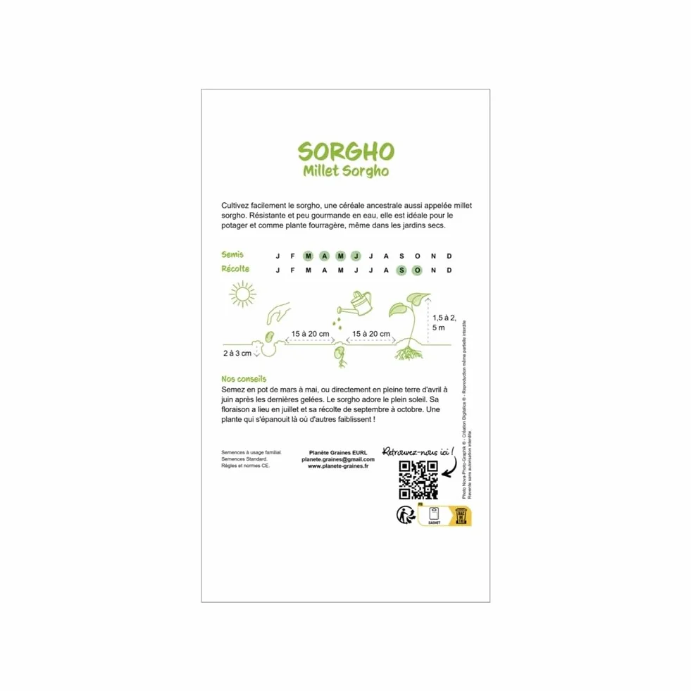 Graines de Sorgho - Céréale Ancienne Fourragère - Adaptée à la Sécheresse - Engrais Vert