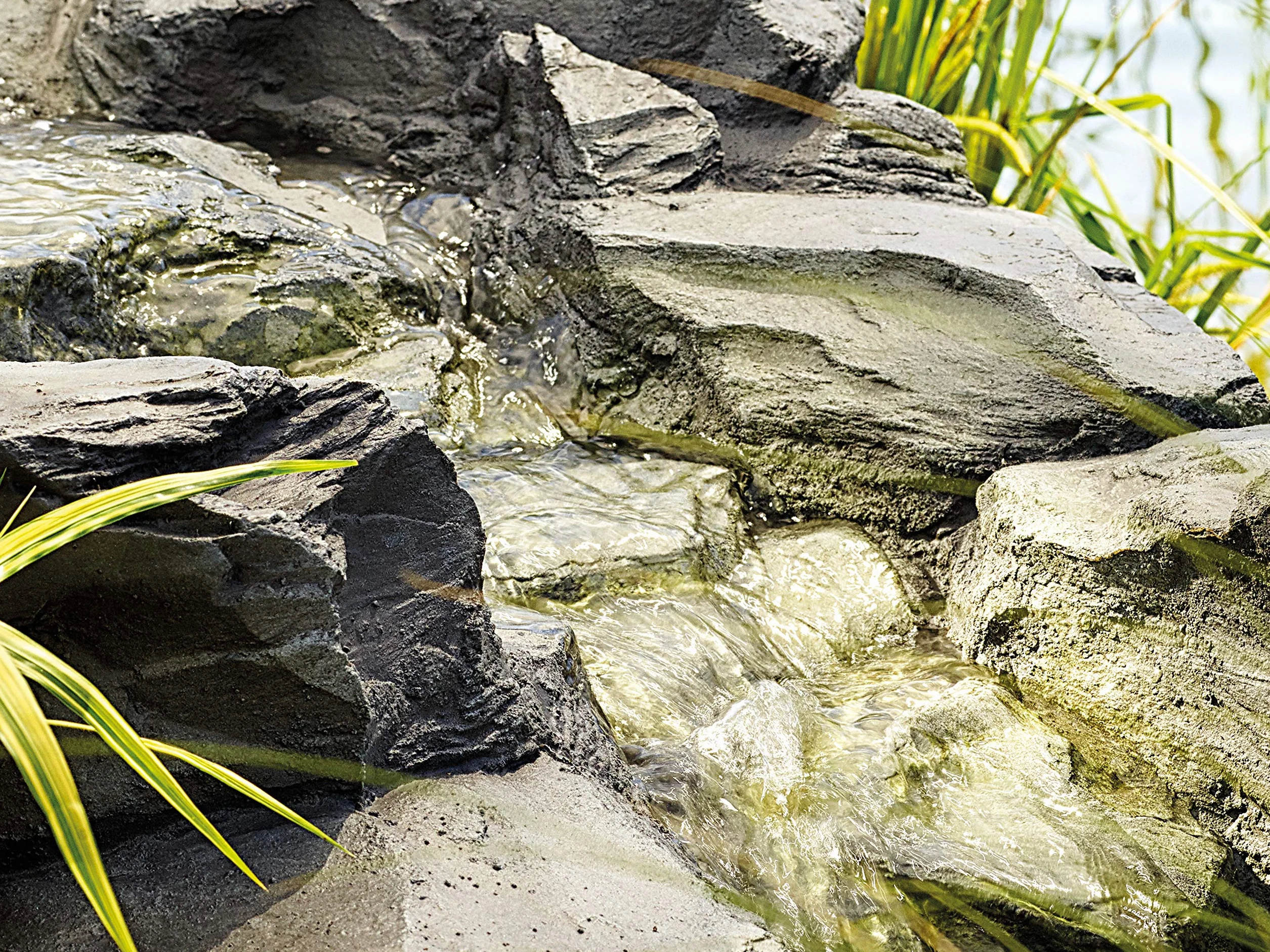 Oase Caucasus gris Cascade