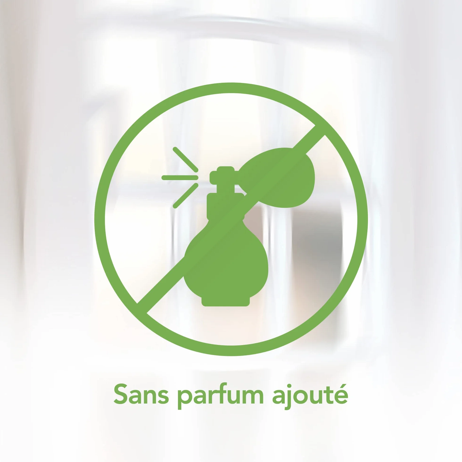 Raid Piège à Mouches Sans Insecticides 6 Pièges Efficacité 6 Mois