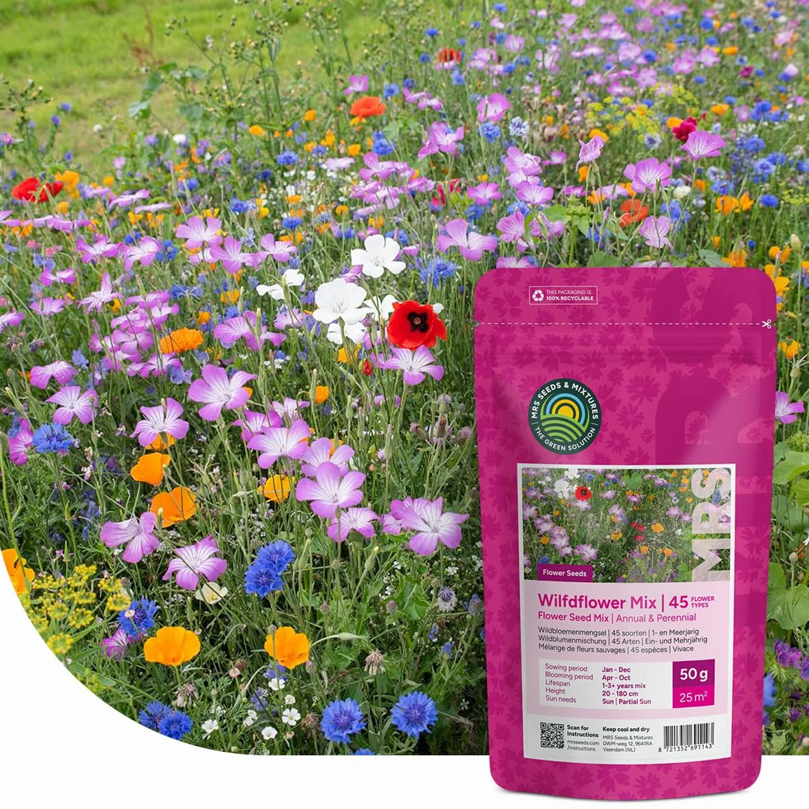 Mélange de fleurs sauvages annuelles et vivaces 250 g 125 m² 62 variétés multicolores nectar abeilles papillons