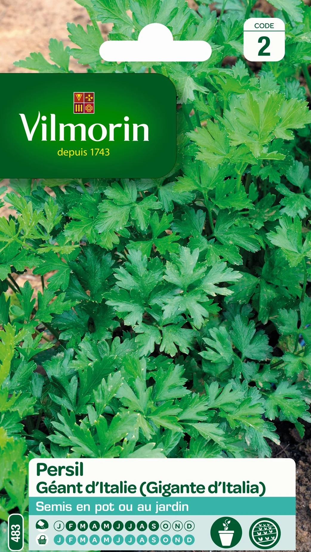 Vilmorin Pack de Graines Persil Commun Géant d'Italie