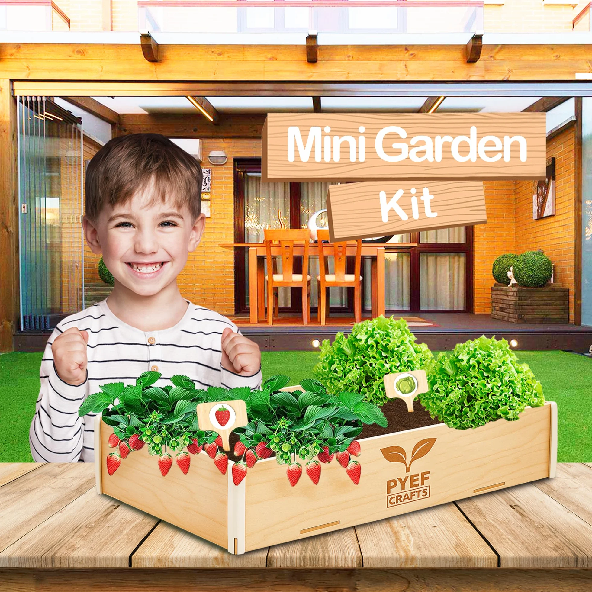 Kit Jardinage Enfant Plante à Faire Pousser - Prêt à Pousser Intérieur - 4 Variétés de Graines Potager