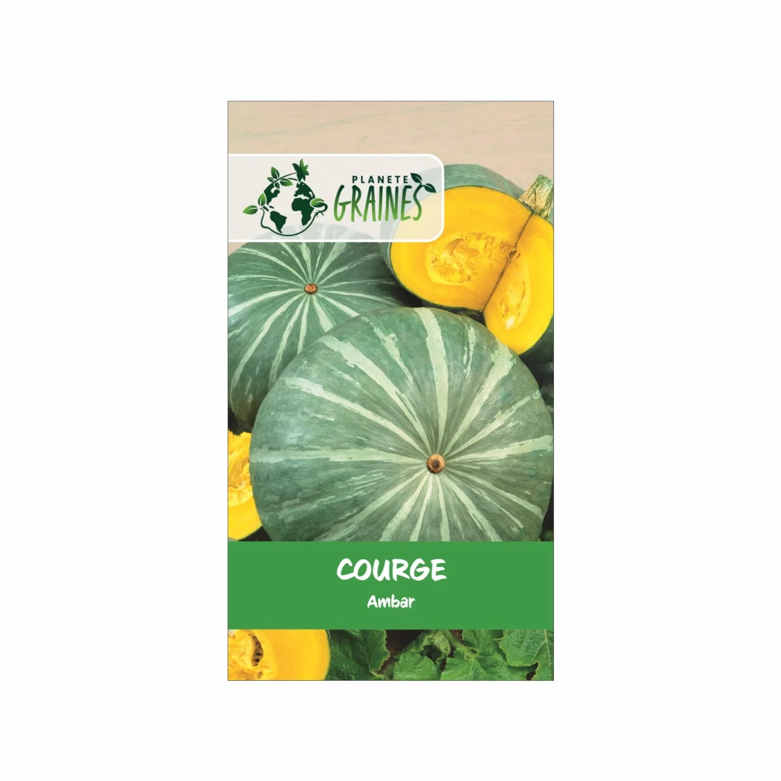 Graines de Courge Ambar - Potiron Facile à Cultiver