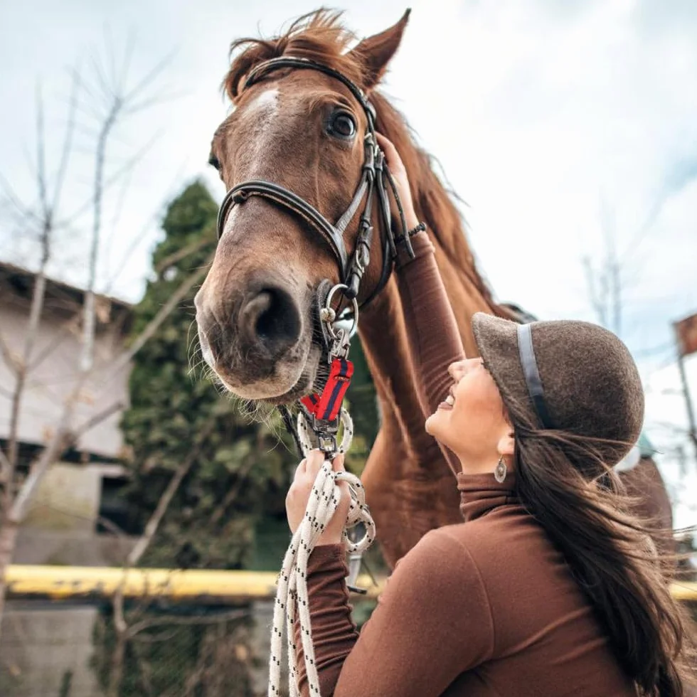 Sangle de Longe pour Chevaux,Sangle de Remorquage avec Boucle Pivotante a Dégagement Rapide pour L'entraînement des Chevaux,Améliore les Performances de Contrôle