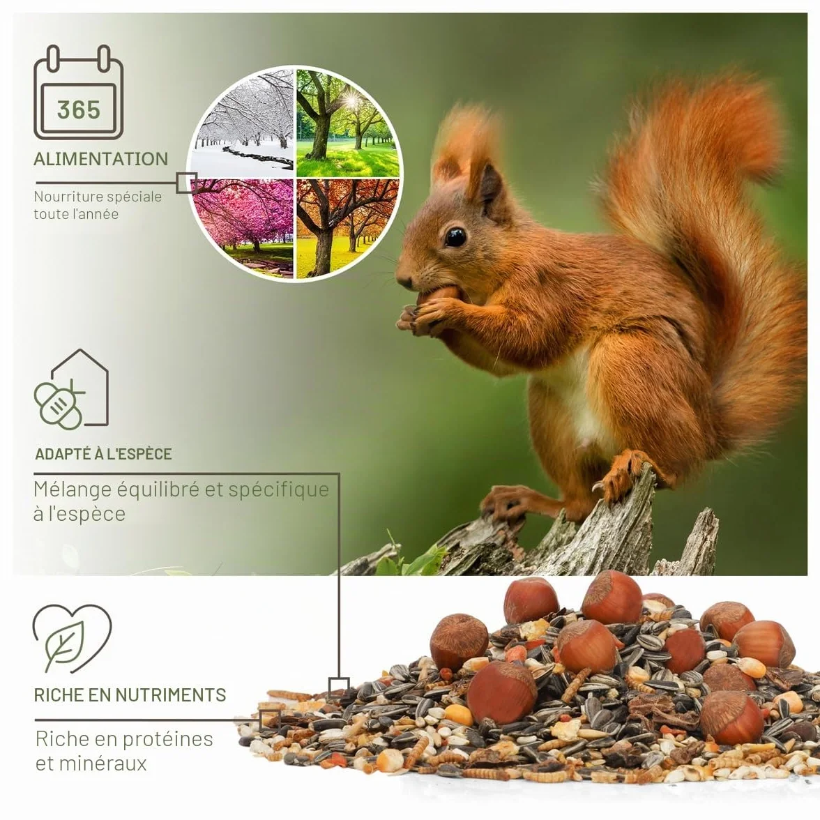 Wildtier Liebe Nourriture pour écureuils 2 kg pour écureuils et tamias