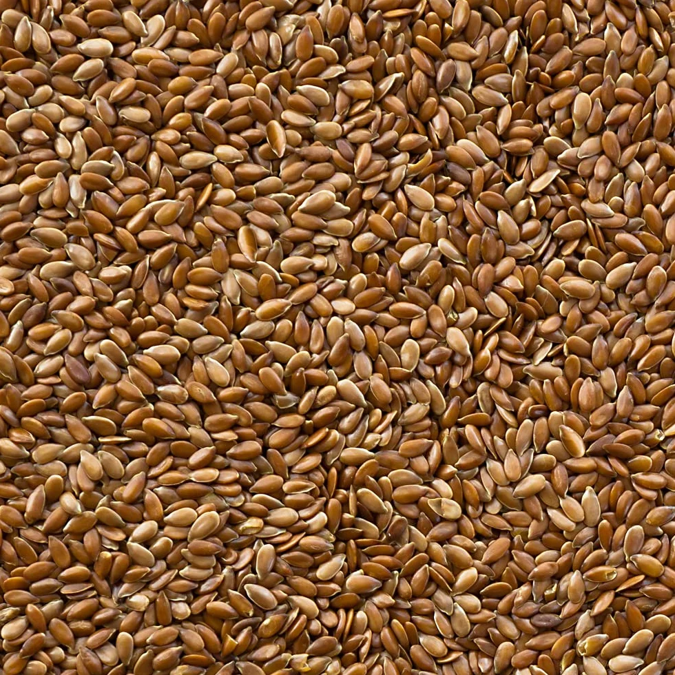 Graines de Lin Naturelles Coussins Chauffants 15 kg Additif Alimentaire pour Chevaux Oiseaux Poultry