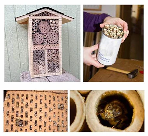 Lot de 100 tubes en bambou 10 cm pour hôtel à insectes abeilles sauvages