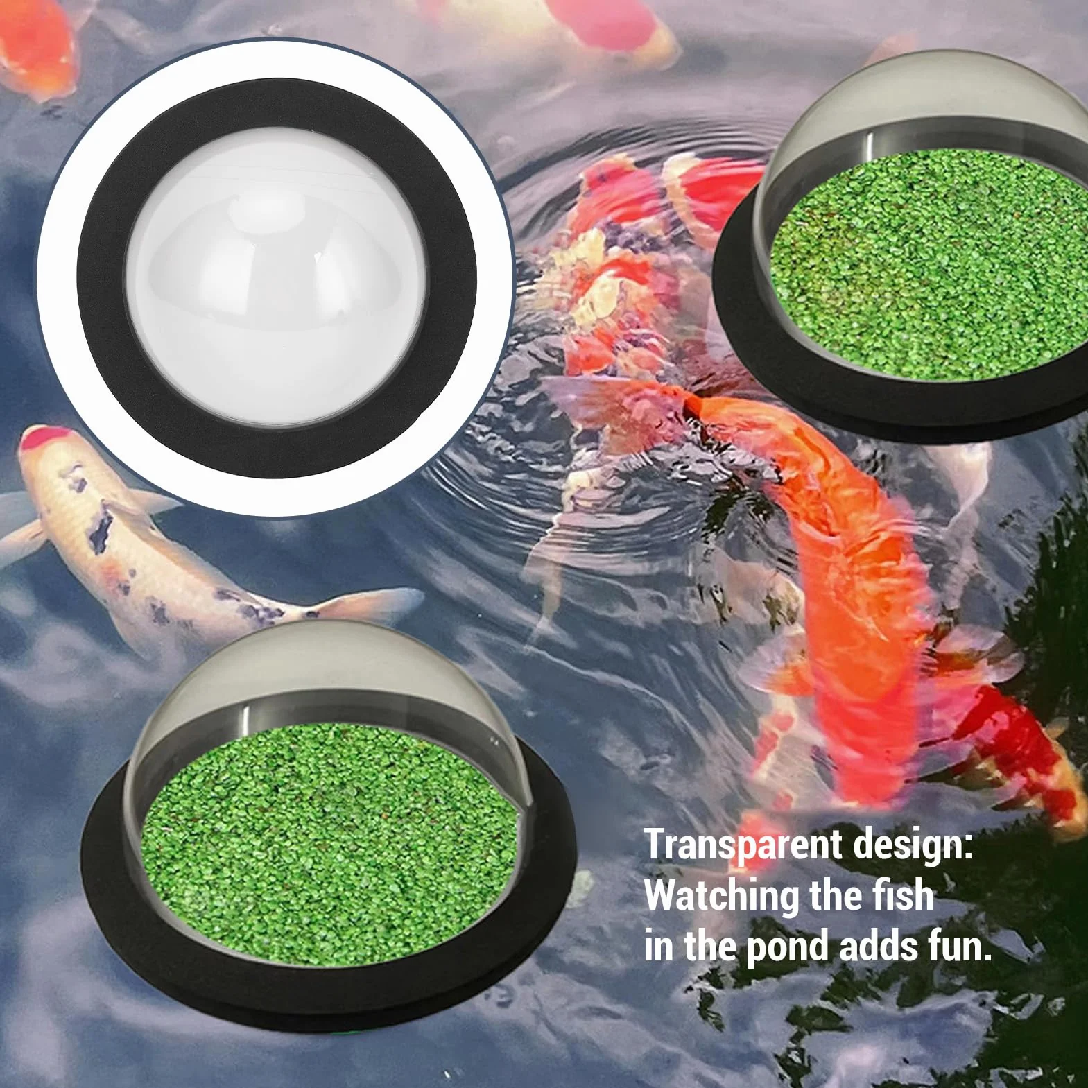 Dôme Flottant pour Poissons d'Étang en Plastique Robuste Transparent, Sécurité par Tous Les Temps